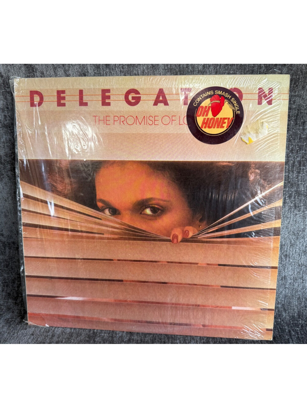 Delegation The Promise Of Love Vinyl LP Shadybrook Records SB-010